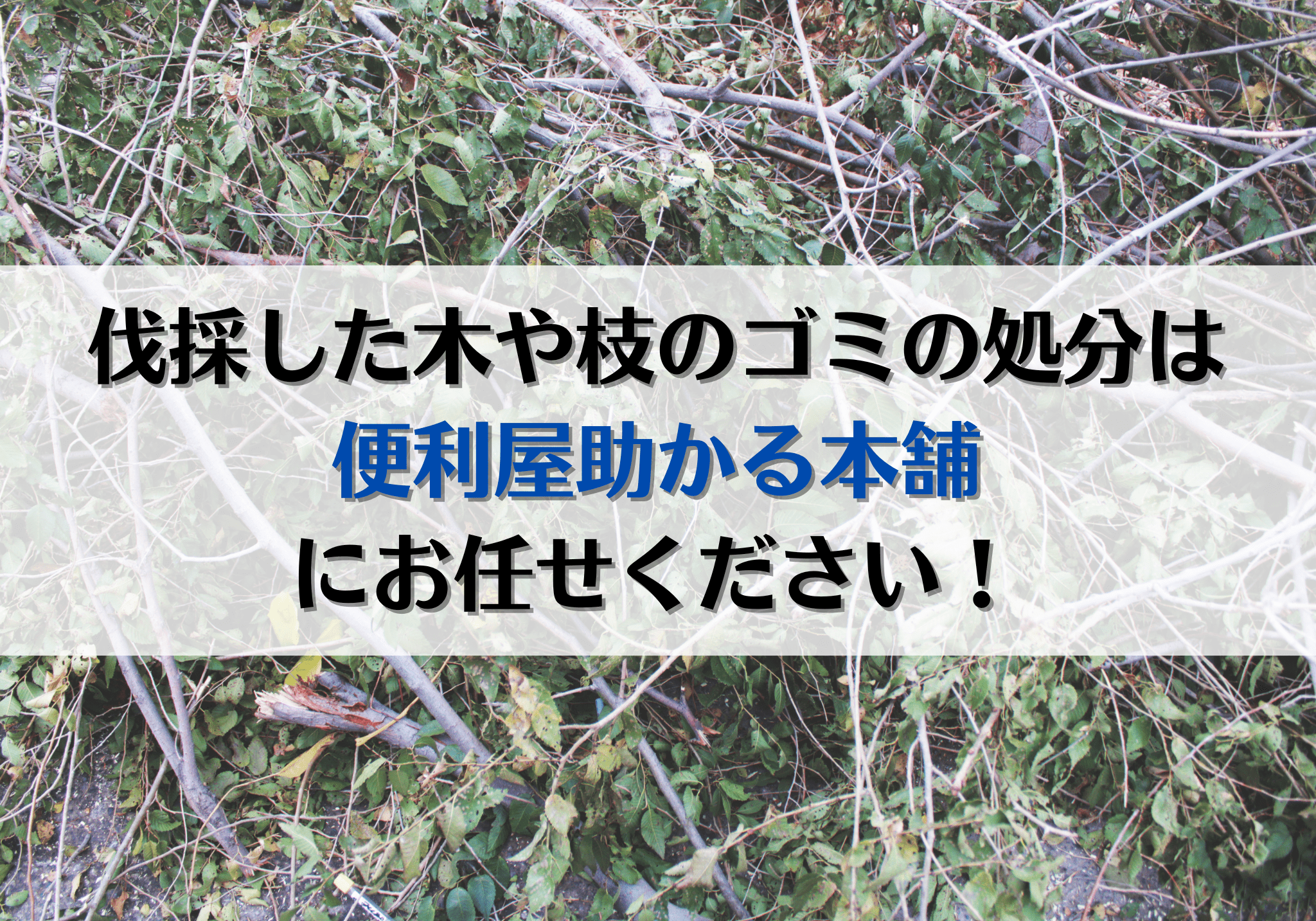 枝の検索結果 | 富士市・富士宮市の便利屋さん | 助かる本舗