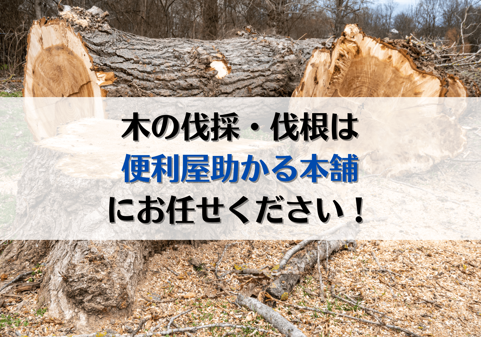 富士市・富士宮市で木の伐採・伐根は「便利屋助かる本舗」にお任せください
