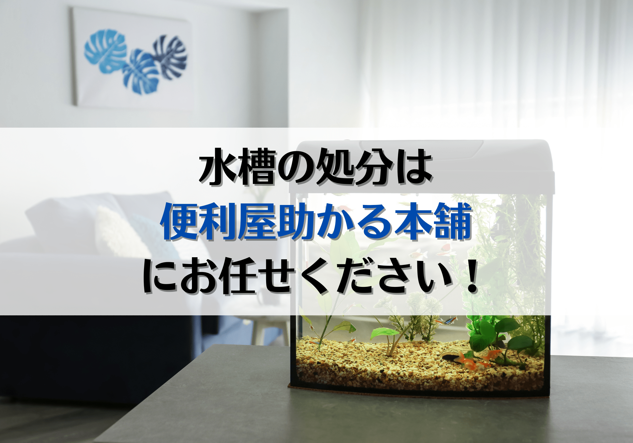 富士市・富士宮市で水槽の処分は「便利屋助かる本舗」にお任せください