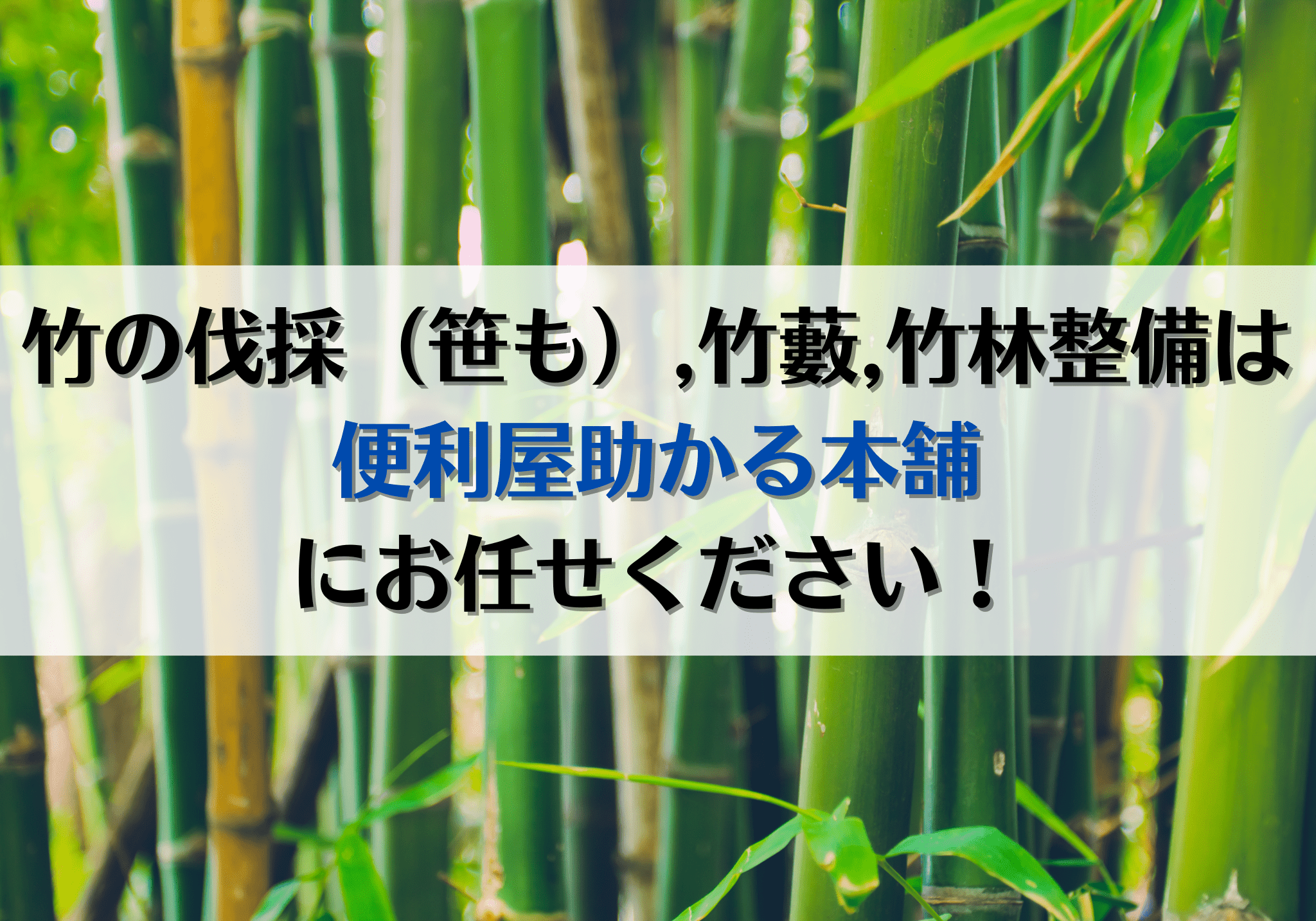 富士市・富士宮市で竹の伐採（笹も）、竹藪、竹林整備は「便利屋助かる 